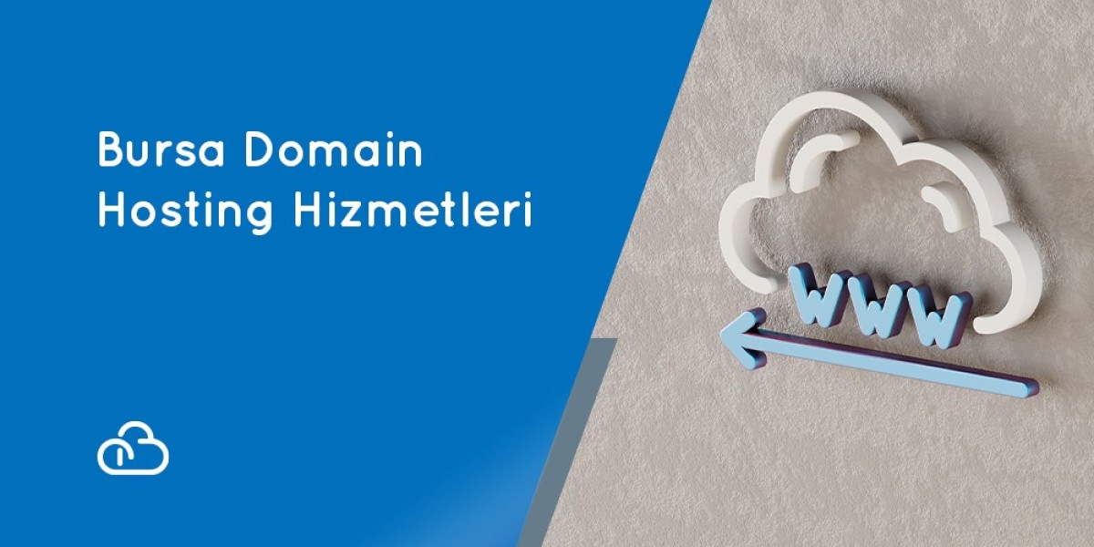 Bursa Domain ve Hosting Hizmetleri: Güvenilir Çözümler Ajans Bulut'ta!