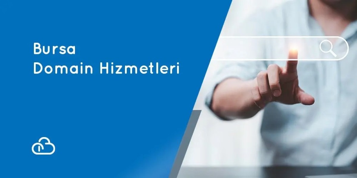 Bursa Domain Hizmetleri, Bursa Domain Satın Al, Bursa Alan Adı Hizmetleri